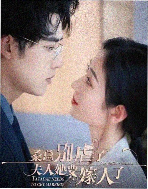 无声证词 国产剧集免费在线观看高清完整版
